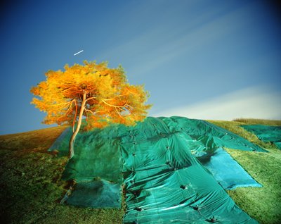 Maalaus pimeässä, 2011 tekijältä Carli Choi