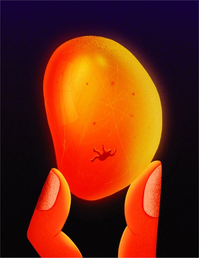  tekijältä Carlo Alberto Giardina