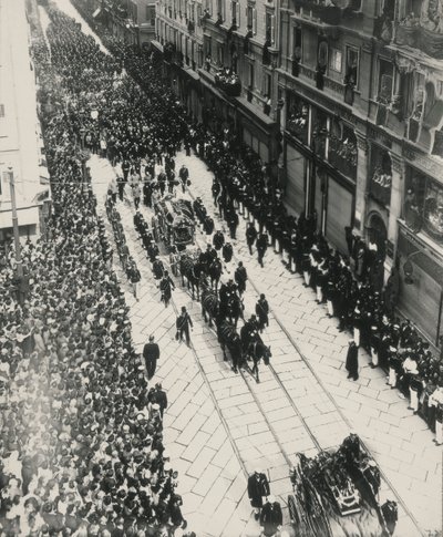 Itävallan arkkiherttua Franz Ferdinandin ja hänen vaimonsa hautajaiset tapettiin Sarajevossa 28. heinäkuuta tekijältä Carlo Wulz