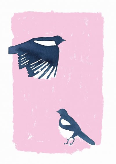 Pink Sky Magpies tekijältä Carola Cedell