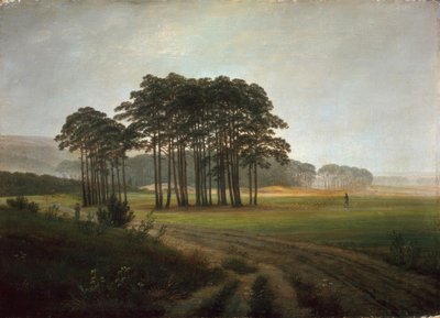 Der Mittag tekijältä Caspar David Friedrich