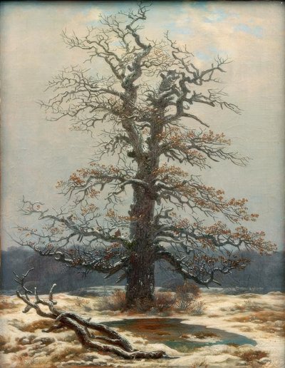 Eiche im Schnee tekijältä Caspar David Friedrich