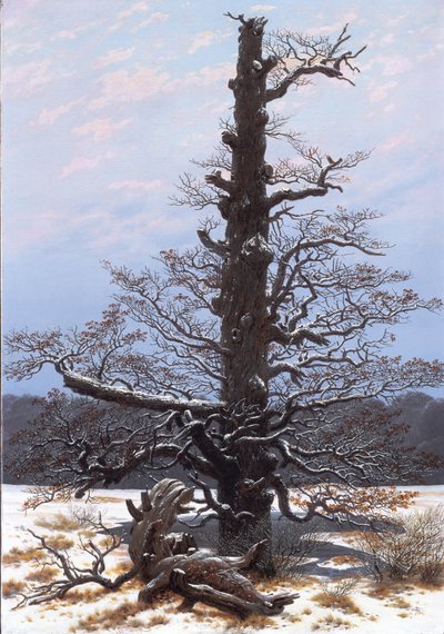Saksan kieli: Eichbaum im Schnee Tammipuu lumessa tekijältä Caspar David Friedrich
