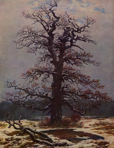 Tammi lumessa tekijältä Caspar David Friedrich