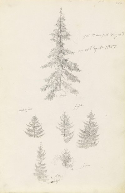Kuusi kuusia ja kuusia koskevaa tutkimusta tekijältä Caspar David Friedrich