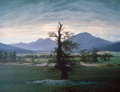 Yksinäinen puu, 1823 tekijältä Caspar David Friedrich