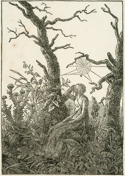 Nainen hämähäkinseitin kanssa paljaiden puiden välissä tekijältä Caspar David Friedrich
