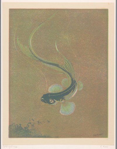 Uima kala Uimakala (alkuperäinen nimi) tekijältä Casper M.L. Kouw (signed by artist)