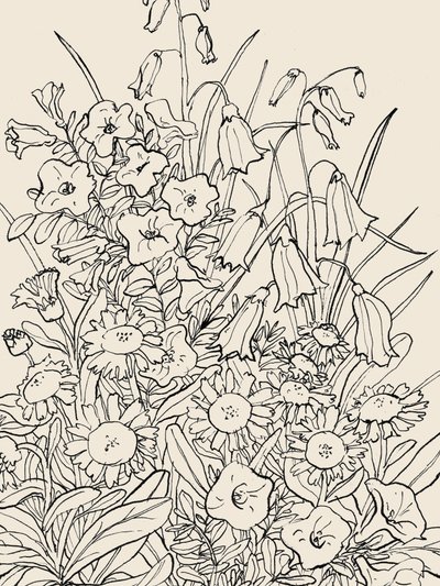 Luonnonvaraiset puutarhakukat tekijältä Catalina Somolinos