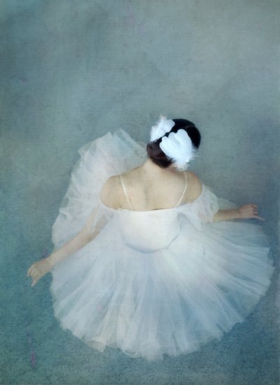 Elegantti Ballerina Swan tekijältä Catherine Wang