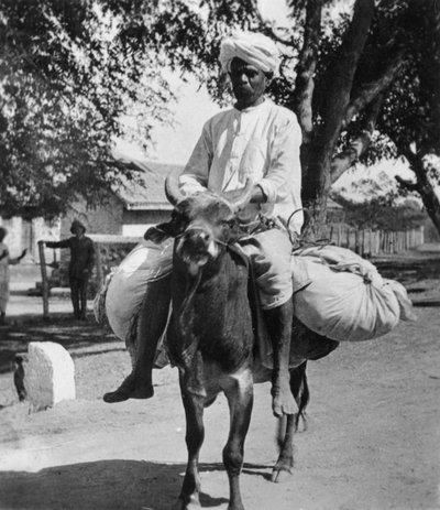 Pesula, Intia, 1800-luvun loppu tai 1900-luvun alku. tekijältä Cavanders Ltd