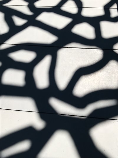 Kokoonpano - Varjot, 2021 (kuva) tekijältä Cécile Jamet