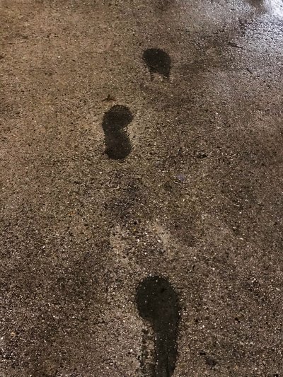 Kokoonpano, 2021 (kuva) tekijältä Cécile Jamet