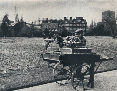 Perunat Kew Gardensissa, 1941 tekijältä Cecil Beaton