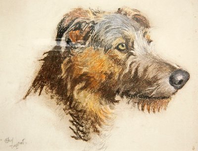 Skotlanninpeurakoira (pastelli sävytetylle paperille) tekijältä Cecil Charles Windsor Aldin