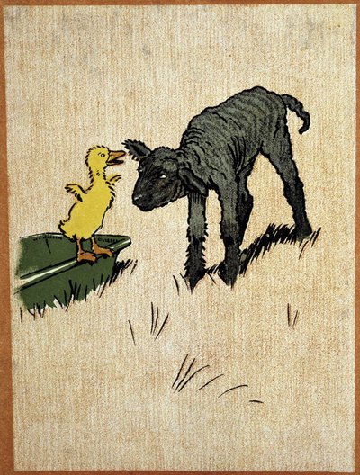 Musta lammas ja ankanpoikanen - Aldinin piirustus tekijältä Cecil Charles Windsor Aldin