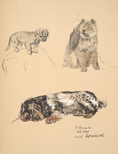 Pekinese, Chow ja Spaniel, 1930, Kuvituksia hänen luonnoskirjastaan, jota käytettiin Just Among Friends, Aldin, Cecil Charles Windsor (1870-1935), myöhemmin julkaissut Eyre and Spottiswoode Limited, 1934, Chal tekijältä Cecil Charles Windsor Aldin