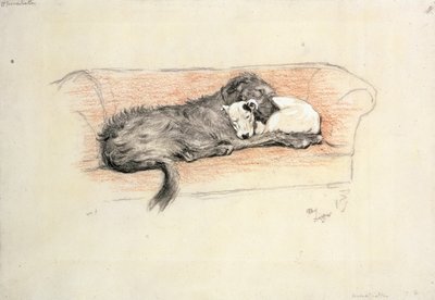 sovinto; Susikoira ja bullterrieri nukkumassa sohvalla (pastelli paperilla) tekijältä Cecil Charles Windsor Aldin