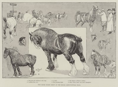 Shire Horse Show Royal Agricultural Hallissa tekijältä Cecil Charles Windsor Aldin
