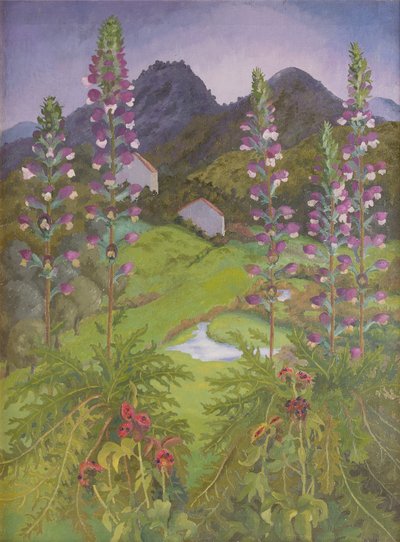 Acanthus tekijältä Cedric Morris