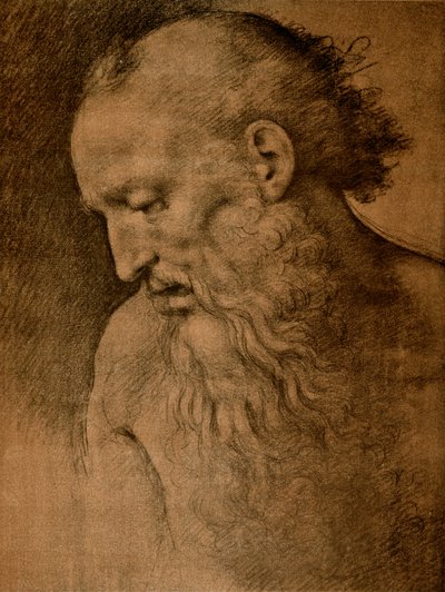 Suuntaa St. Jeromeen tekijältä Cesare da Sesto