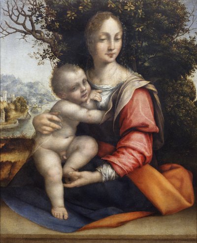 Madonna ja lapsi (Our Lady of the Tree) tekijältä Cesare da Sesto