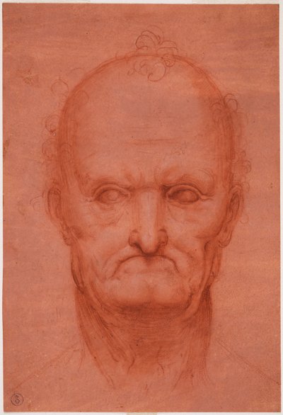 Vanhan miehen pää, n. 1515 (veri punaisella paperilla) tekijältä Cesare da attr.to Sesto