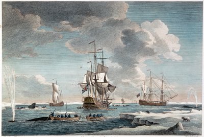 Grönlannin kalastus, kaivertaja John Boydell (1719-1804) 1754 (värikaiverrus) tekijältä Charles (after) Brooking