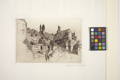 Ruis, Sussex (etsaus paperille) tekijältä Charles Adams Platt