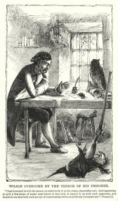 Wilson vanginsa kauhun vallassa (kaiverrus) tekijältä Charles Altamont Doyle