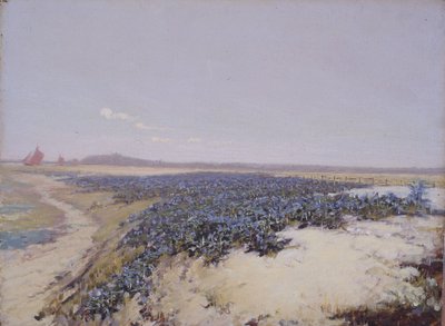 Kukkien peittämät dyynit (öljy kankaalle) tekijältä Charles Augustus Lasar