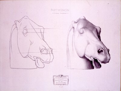Hevosen pää Parthenonin länsipäädystä, levy 47 Cours de Dessinistä, n. 1898 tekijältä Charles Bargue