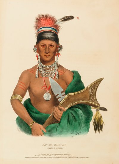 AP-PA-NOO-SE. SAUKIE CHIEF, kirjasta History of the Indian Tribes of North America. tekijältä Charles Bird King