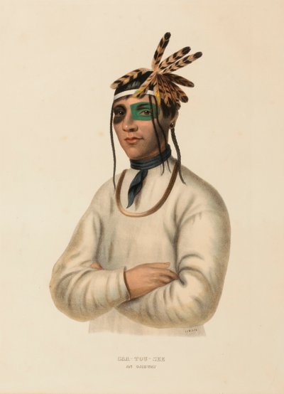 CAA-TOU-SEE. AN OJIBWAY., kirjasta History of the Indian Tribes of North America. tekijältä Charles Bird King