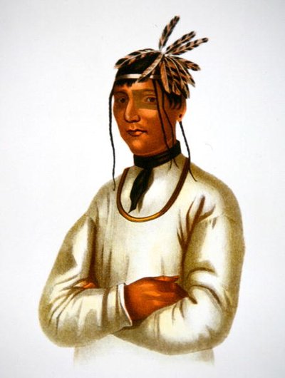 Caatousee of the Chippewa Tribe (väriliitossa) tekijältä Charles Bird King