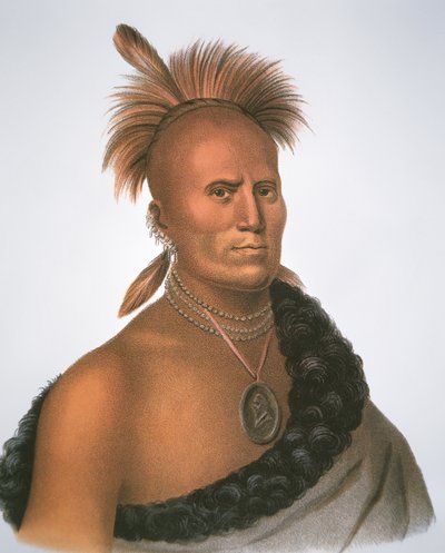 Päällikkö Sharitarish tekijältä Charles Bird King