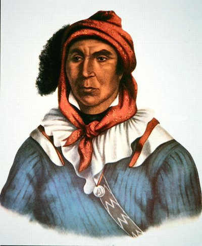 Julcee Mathla tekijältä Charles Bird King