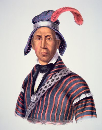 "Mad Wolf" 1825 (väri litho) tekijältä Charles Bird King