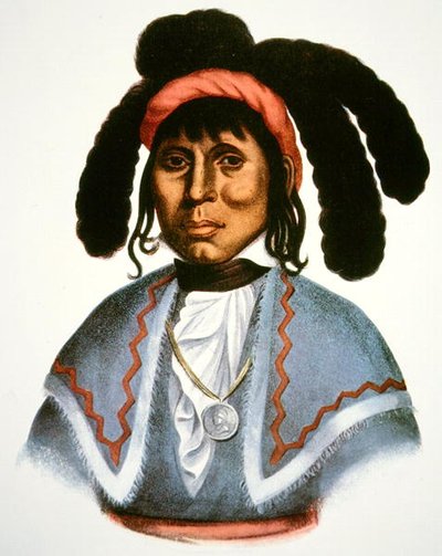 Micanopy (k. 1849) n. 1826 (väri litho) tekijältä Charles Bird King