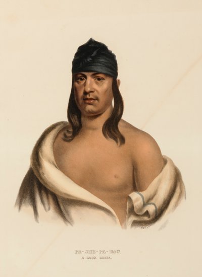 PA-SHE-PA-HAW. A SAUK CHIEF., kirjasta History of the Indian Tribes of North America. tekijältä Charles Bird King