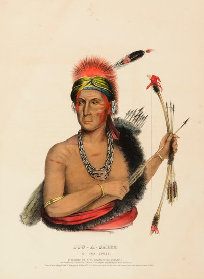 POW-A-SHEEK. FOX CHIEF. tekijältä Charles Bird King