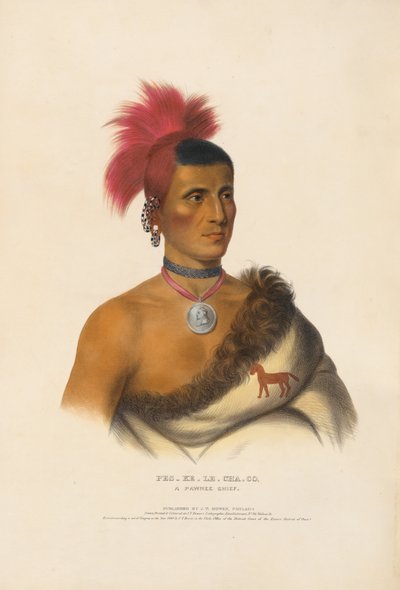  tekijältä Charles Bird King