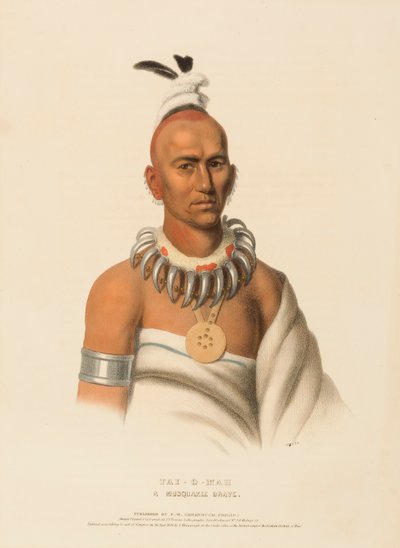 TAI-O-MAH. A MUSQUAKEE BRAVE., kirjasta History of the Indian Tribes of North America. tekijältä Charles Bird King