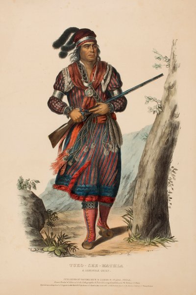 TUKO-SEE-MATHLA. A SEMINOLE CHIEF., from History of the Indian Tribes of North America. tekijältä Charles Bird King