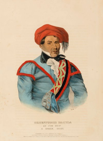 TUSTENNUGGEE EMATHLA, Pohjois-Amerikan intiaaniheimojen historiasta. tekijältä Charles Bird King