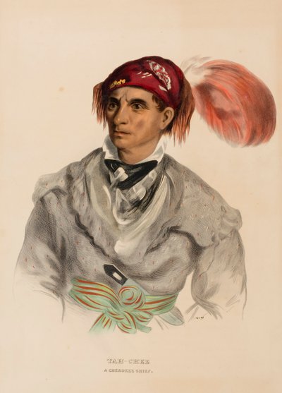 Tah-Chee (hollantilainen), Cherokee-päällikkö, Pohjois-Amerikan intiaaniheimojen historiasta. tekijältä Charles Bird King