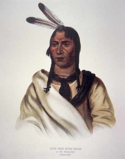 "Sleepy Eye" tekijältä Charles Bird King