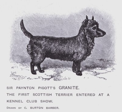 Sir Paynton Pigottin graniitti (litho) tekijältä Charles Burton (after) Barber