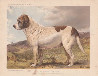 St. Bernard "Abbess". tekijältä Charles Burton Barber