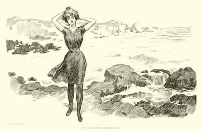 Illustration for The Social Ladder tekijältä Charles Dana Gibson